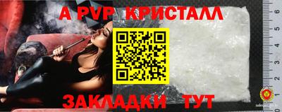 спиды Железноводск