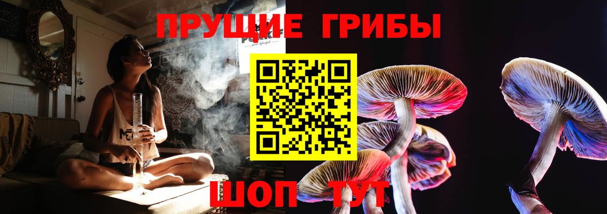 Выборг  где продают наркотики  Вход с VPN  Псилоцибиновые грибы Magic Shrooms 